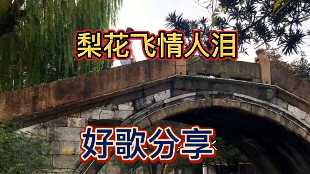 《梨花飞情人泪》