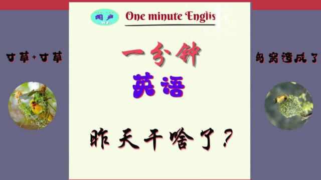 一分钟英语D22 昨天干啥了?| 英语学习 | Learn English | 英语口语 | 英语语法