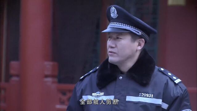 终极追捕:警察小瞧老头,没想到老头是武术泰斗,梯云纵出神入化