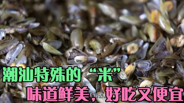 小伙每天早上7点出发,出海去捕捞潮汕特有的“米”,薄壳米那是相当好吃