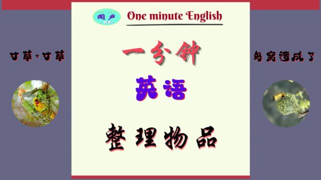 一分钟英语D33 整理物品 | 英语学习 | Learn English | 英语日常会话 | 英语口语