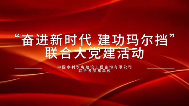 中国水利水电建设工程咨询有限公司联合各参建单位开展“奋进新时代建功玛尔挡”大党建活动