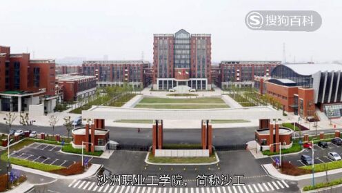 立懂百科带你了解沙洲职业工学院