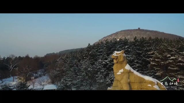 喜迎延边朝鲜族自治州成立70周年 | 生态秘境:帽儿山