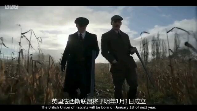 英剧 | 【浴血黑帮】第5季全,BBC爽剧,不服还是干!(附前四季)(在线观看)