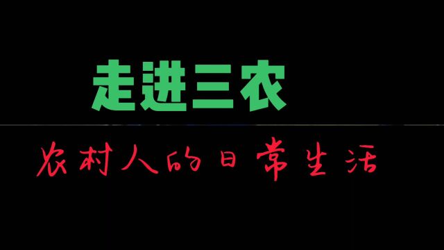 走进农村,农村人的日常生活,