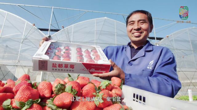 自然好味!你的“鲜之都ⷧ›都”大餐已送达,点击一键尝“鲜”