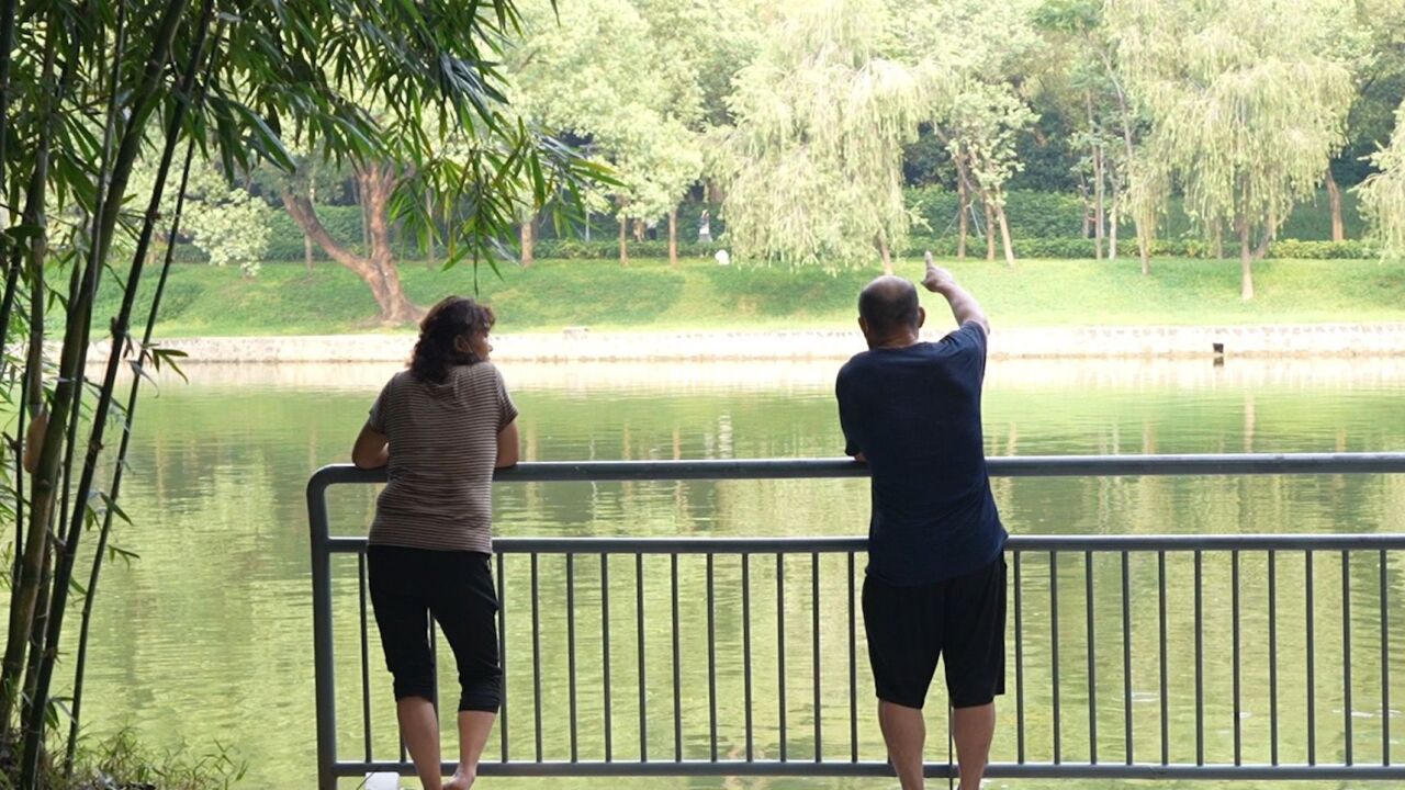 在广州最大相亲角寻找爱情是什么:如流水一般,还是心甘情愿和柴米油盐?