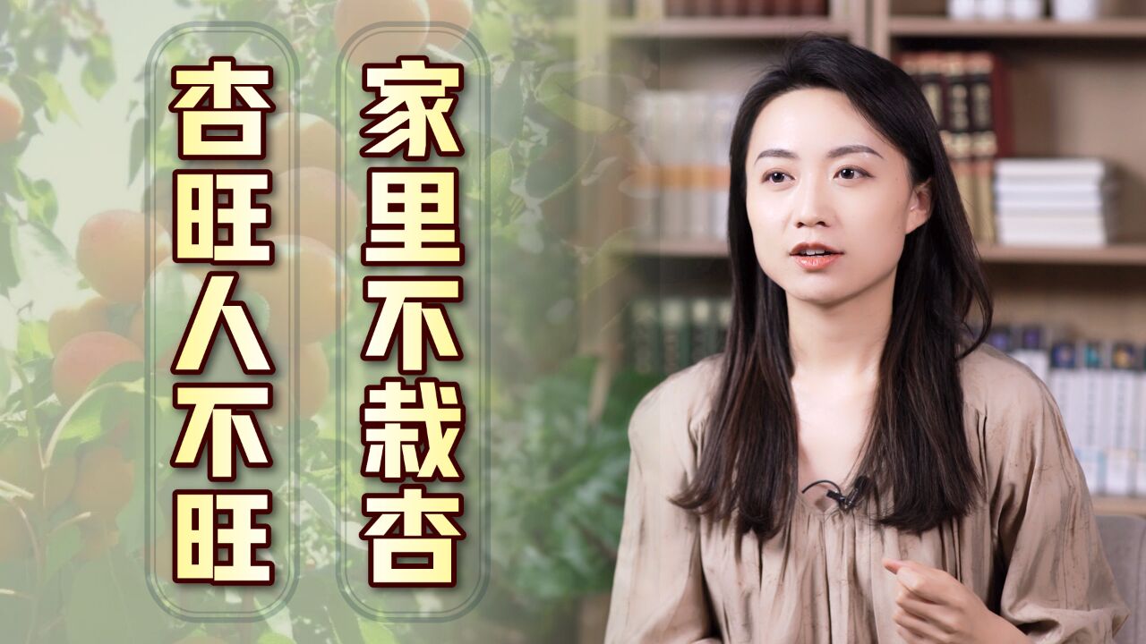 “家里不栽杏,杏旺人不旺”,老人总说杏伤人,有啥依据吗?