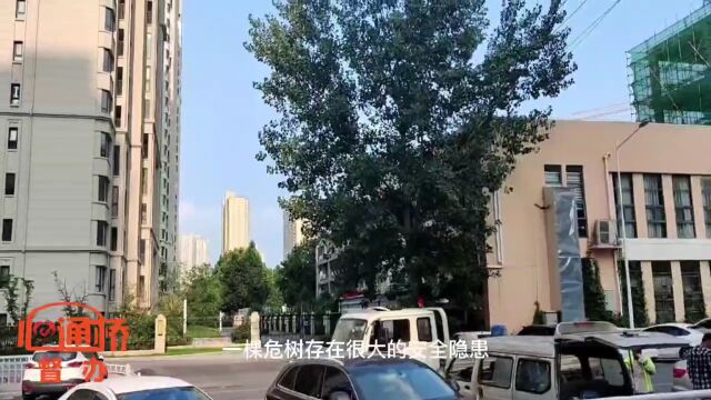 心通桥督办| 小区门口有棵危树?管城区绿化中心:树不是危树,但存在安全隐患