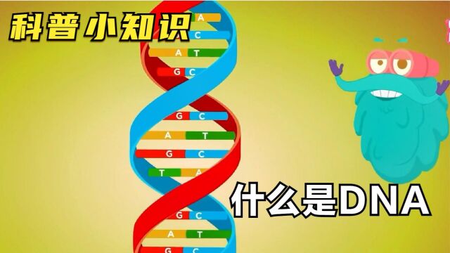 科普小知识:什么是DNA