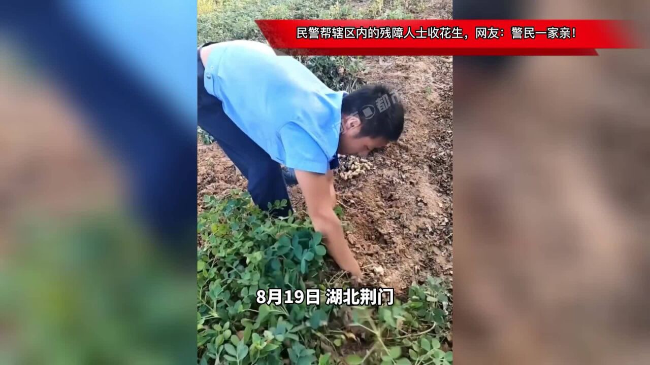 暖心!民警帮辖区内的残障人士收花生,网友:警民一家亲!