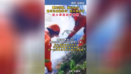 重庆涪陵南川山火明火已全部扑灭。