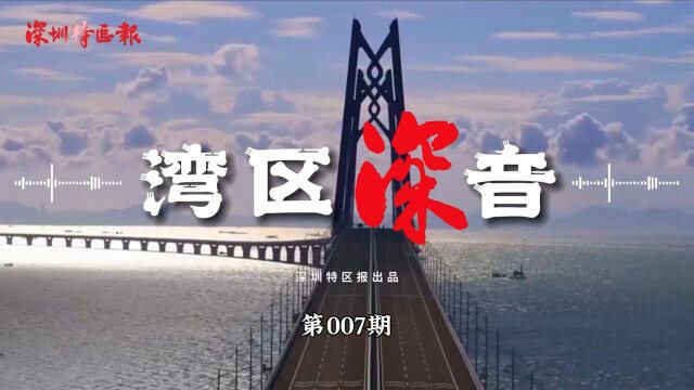 湾区深音第7期袁义才