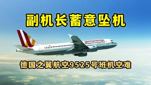 副机长蓄意坠机,德国之翼航空9525号班机空难,纪录片.