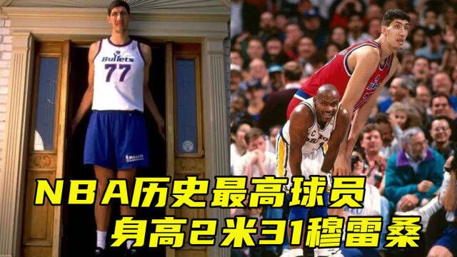 NBA历史最高球员!身高2米31巨人穆雷桑怎么打球?站着就能扣篮