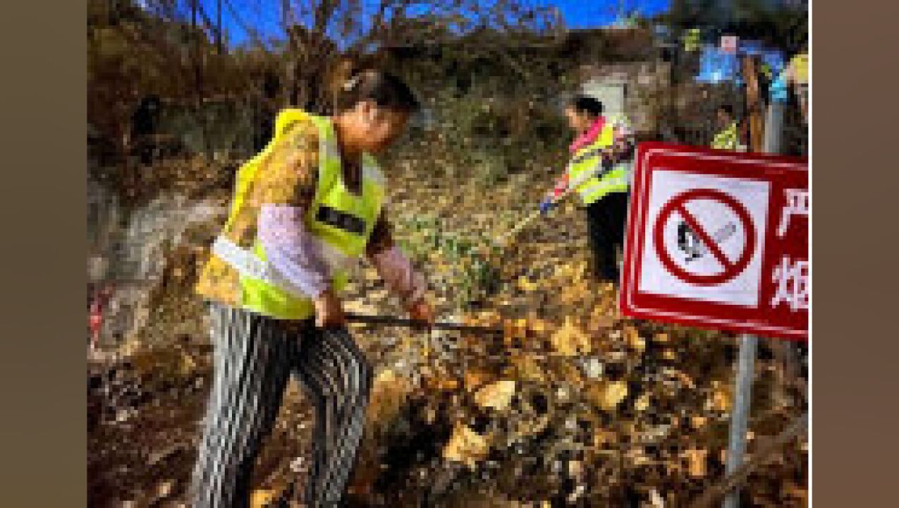 江北区全面排查消除城市绿地火灾隐患