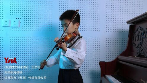 天津武清小提琴考级：乐海扬帆学员王思程，带来一曲《校园里的小白杨》