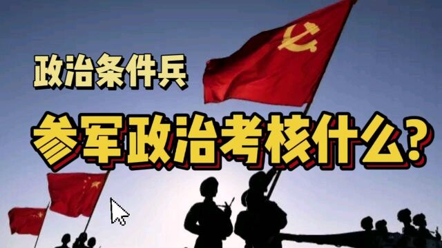 【参军知识】参军政审考核什么?