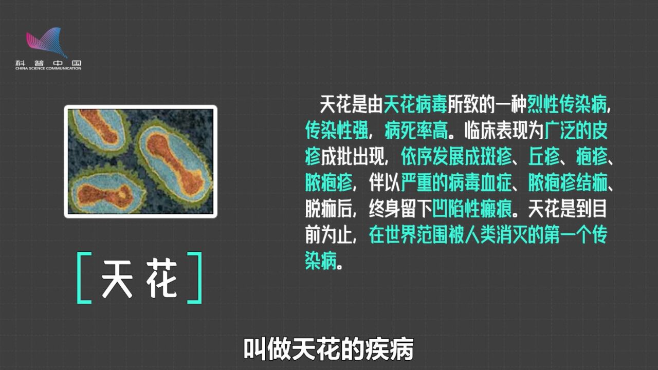 英国发明牛痘疫苗,追根溯源得感谢康熙?关于疫苗你不知道的事