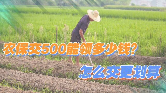 城乡居保每年按500元缴费,退休后能拿多少?怎么交才更划算