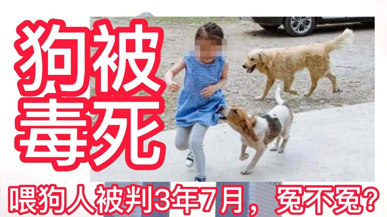 狗被毒死,判投食人3年7月,冤不冤?