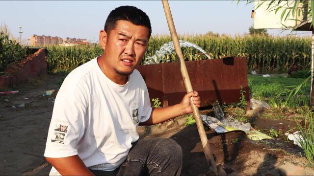 小段在农村种菜,让大家看看东北的葱是怎么种的