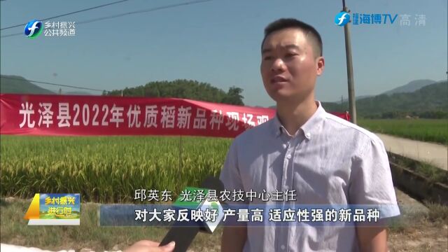 光泽:抓实做优“一株稻” 全力稳定粮食生产