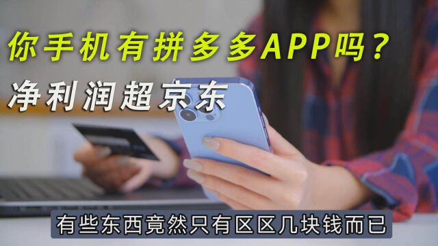 你手机有拼多多APP吗?净利润超过京东