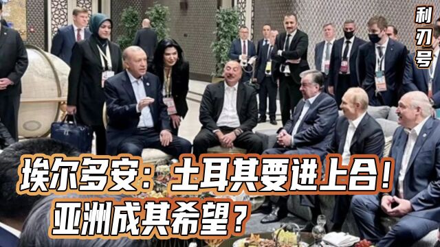 埃尔多安:土耳其要进上合!欧洲令其伤心,亚洲成其希望?