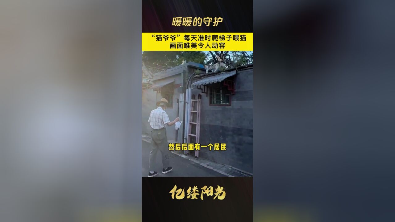 亿缕阳光丨暖暖的守护