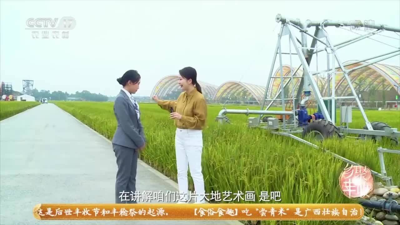 “黑科技”助力丰收节!龙湖智创生活邀你体验大田智慧灌溉系统