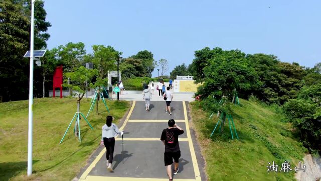 登山戏水品美食!解锁黄埔「生态游」攻略→