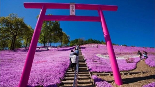 日本各地魅力度排名 北海道连14年夺冠