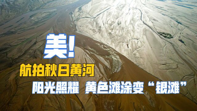 航拍秋日黄河,阳光照耀黄色滩涂变“银滩”,那叫一个美!