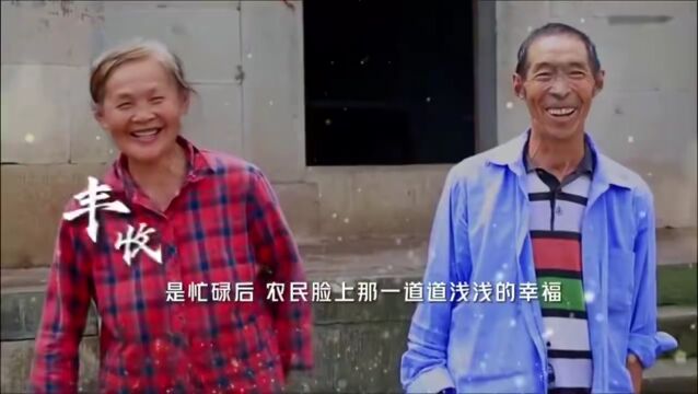 “重庆垫江”客户端两项作品入选“区县十大传播力稿件”