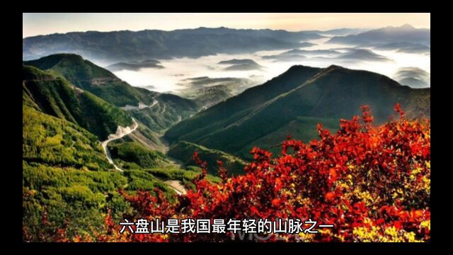 “春去秋来无盛夏”红色森林