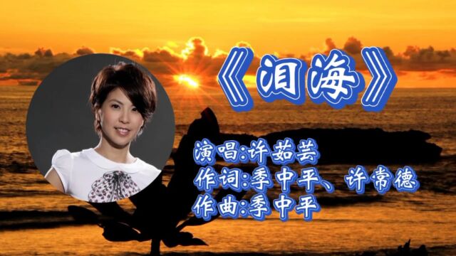 怀旧歌曲《泪海》许茹芸深情演唱,凄美旋律动听感人,令人陶醉其中!