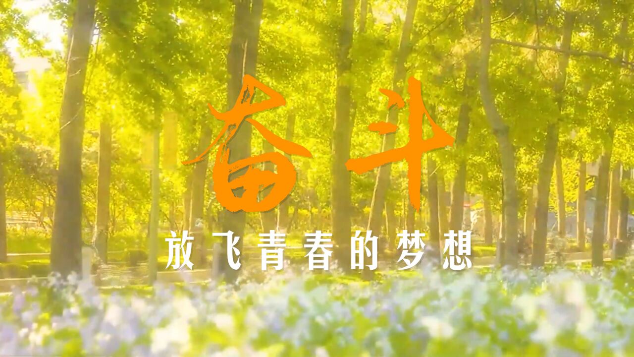 二十大时光|奋斗,放飞青春的梦想