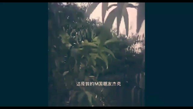 那些让人开怀大笑的名场面