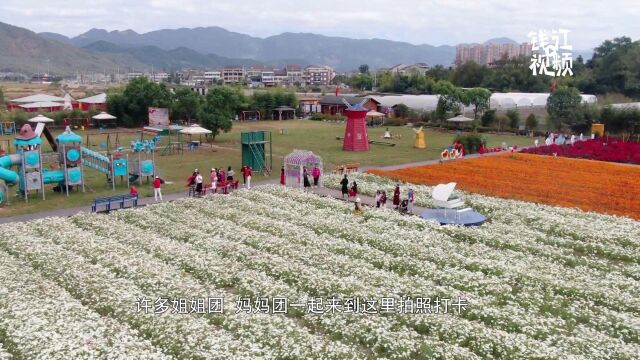 温州鹿城农庄“三花撞期” “美丽流量”撬动全域旅游