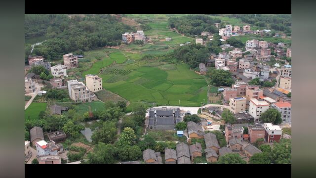 美丽家乡!金田安众村山脚!