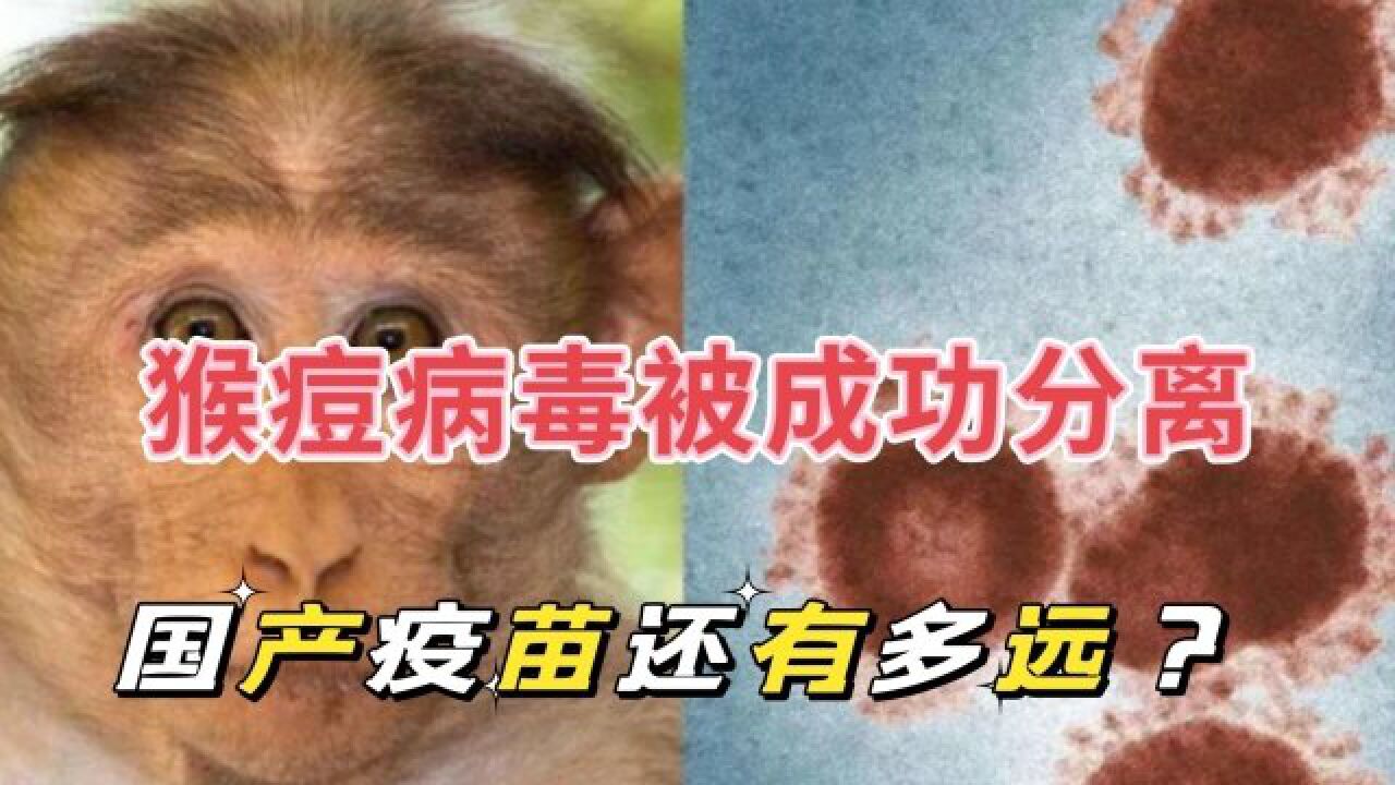 武汉生物制品研究所成功分离猴痘病毒,对疫情防控有哪些意义?距离国产猴痘疫苗还有多远?