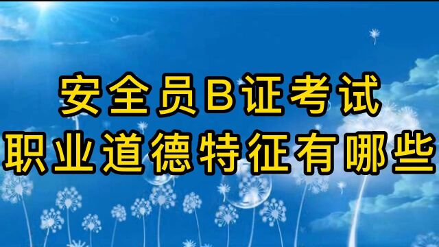 09安全员B证考试职业道德特征有哪些