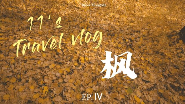 内蒙古旅游Vlog EP04《枫》