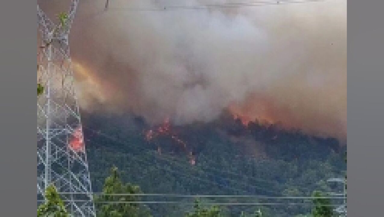 广东佛山山火持续燃烧 附近工厂提前下班躲避暂无伤亡报告