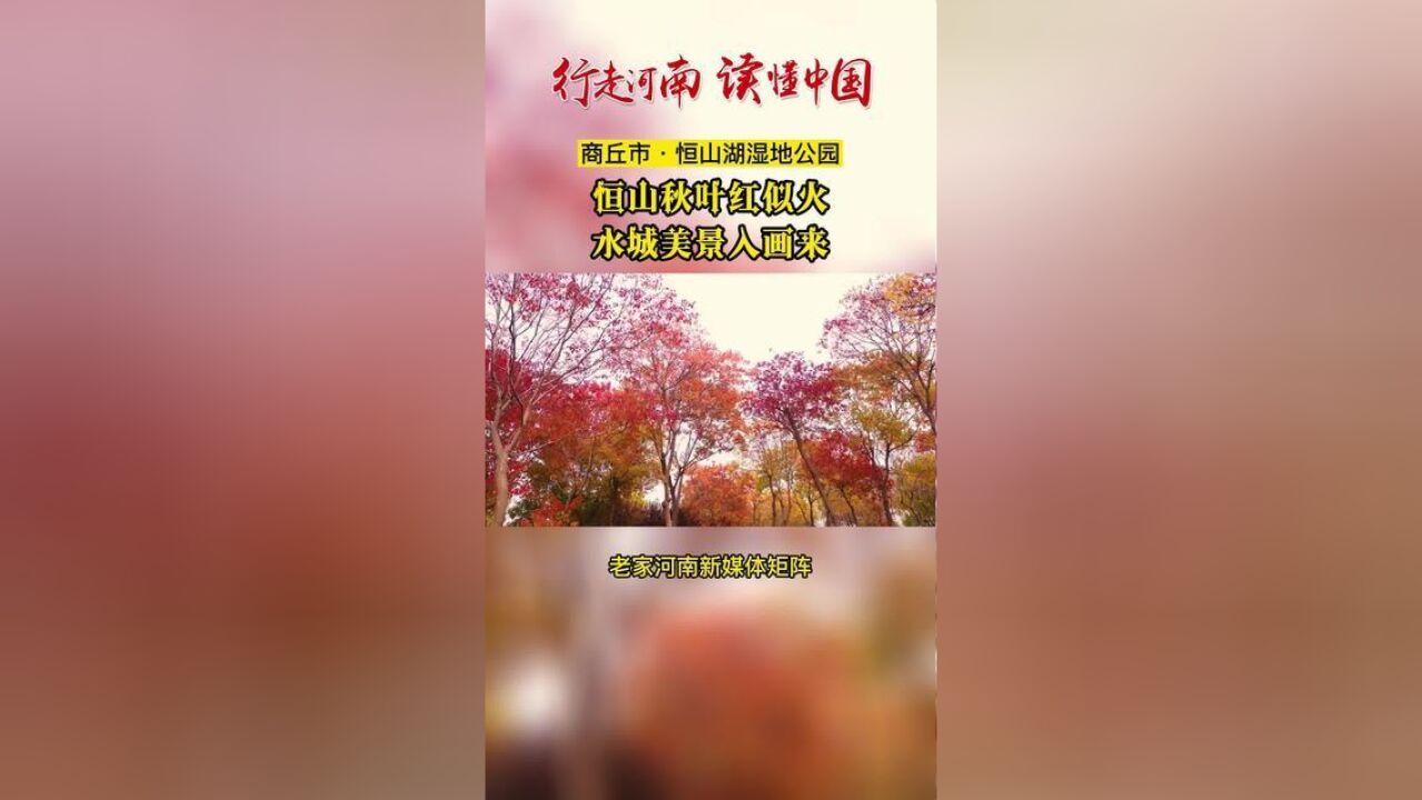 行走河南读懂中国商丘市睢县恒山湖湿地公园,满目的红乌桕树叶和红枫叶,在徐徐秋风中交相辉映,为深秋的冷冽增添了一抹火热