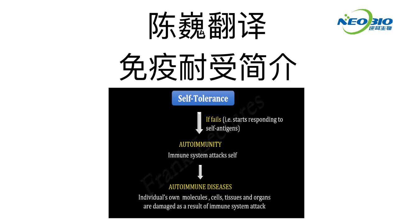 【陈巍翻译】免疫耐受简介