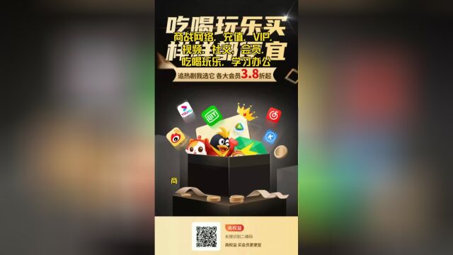 商战网络,充值,VIP,视频,社交,会员,吃喝玩乐,学习办公