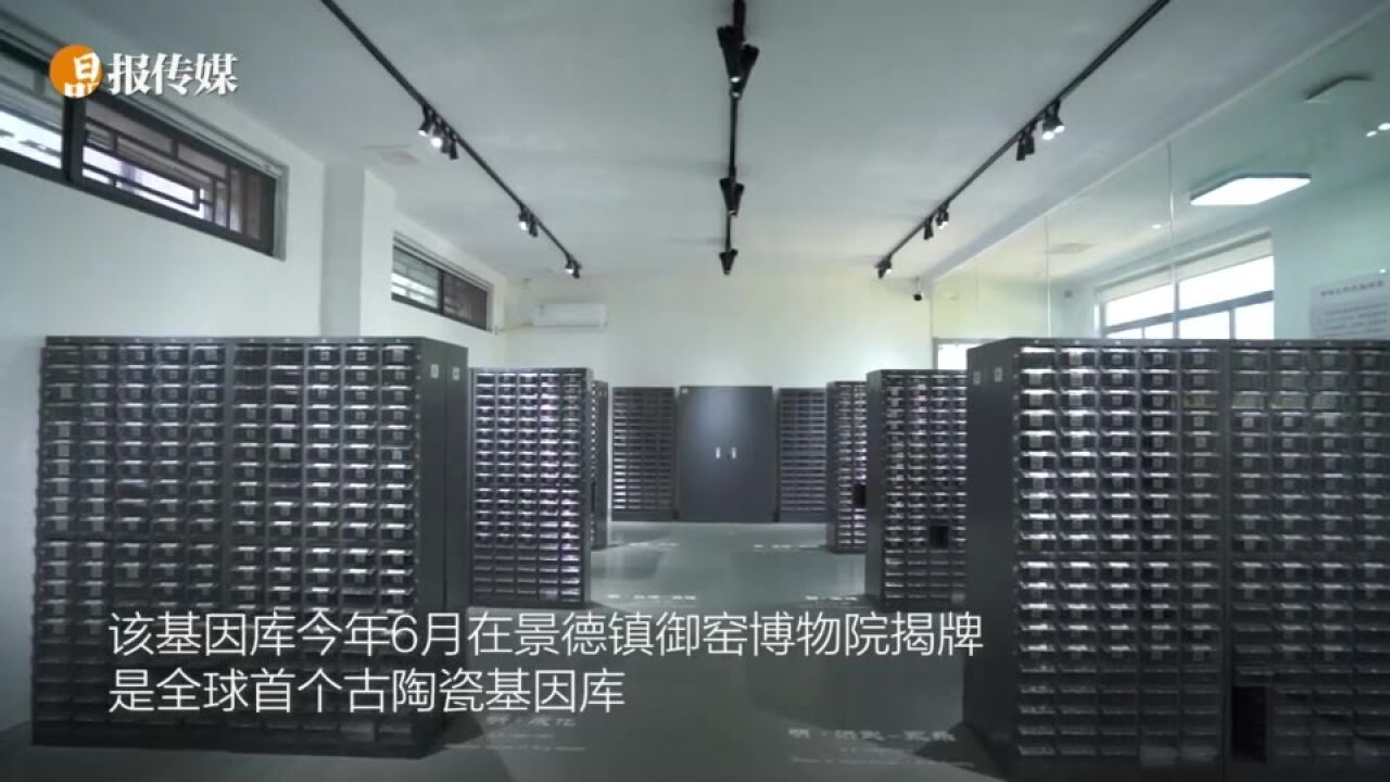 晶报带你逛瓷都|古陶瓷基因库让文物“活”起来